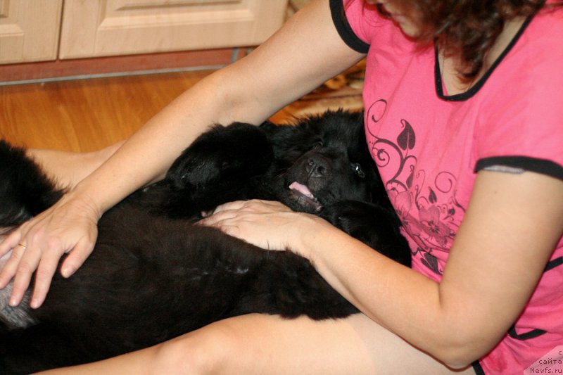 Фотография № 217638