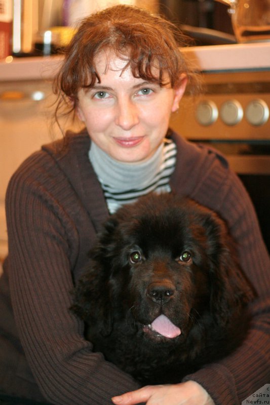 Фотография № 217640