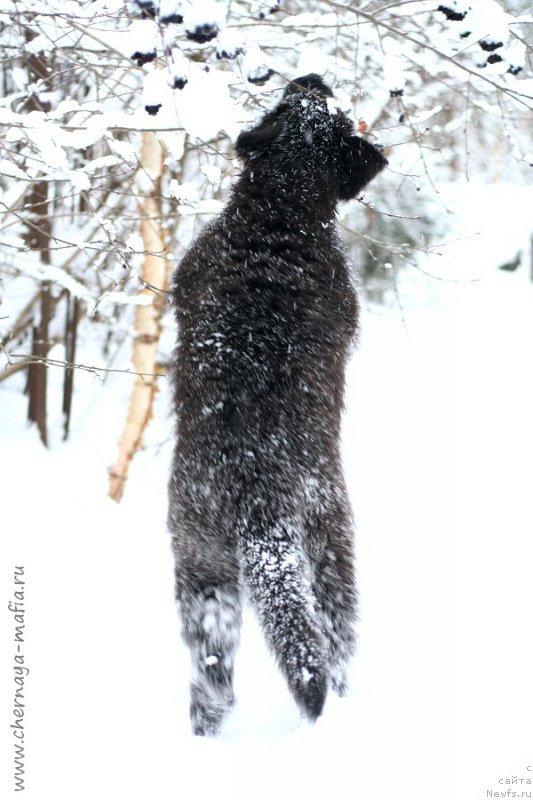 Фотография № 217649