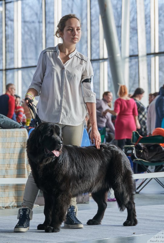 Фотография № 217681