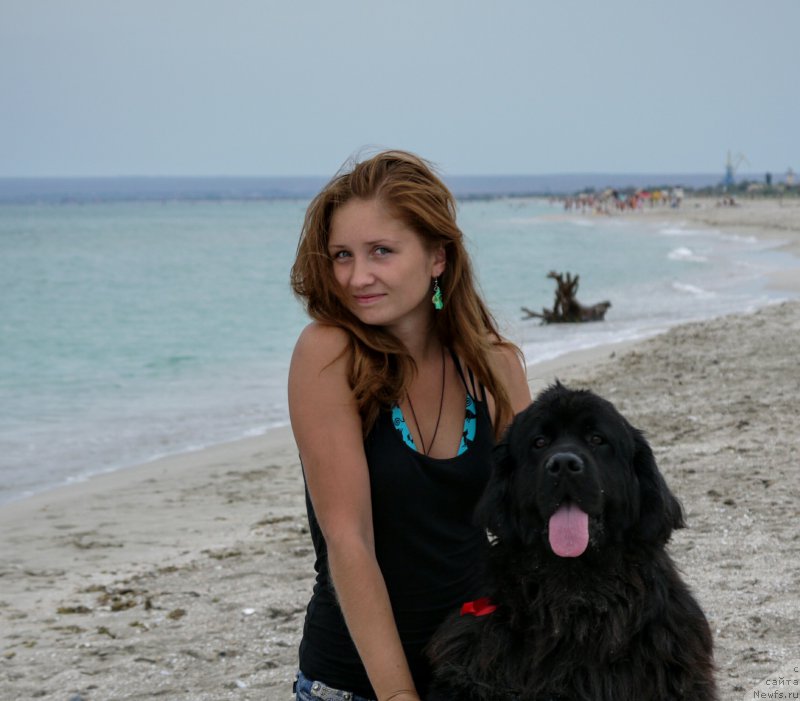 Фотография № 217684