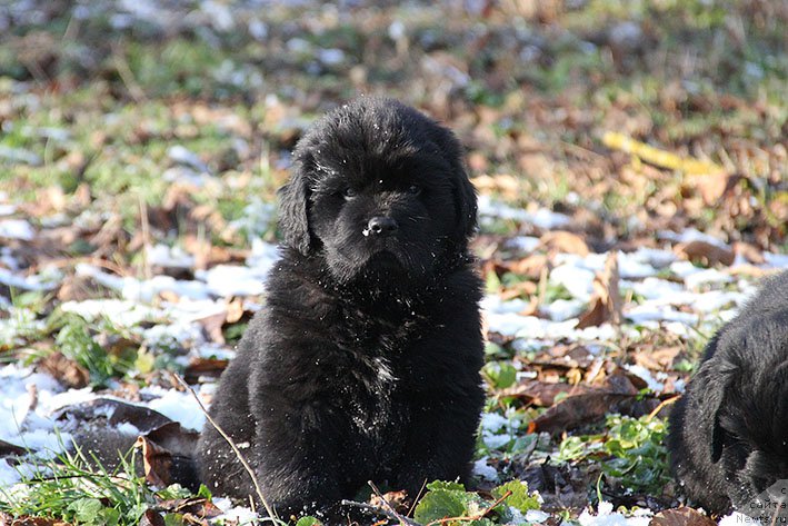 Фотография № 217689