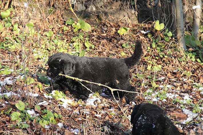 Фотография № 217692