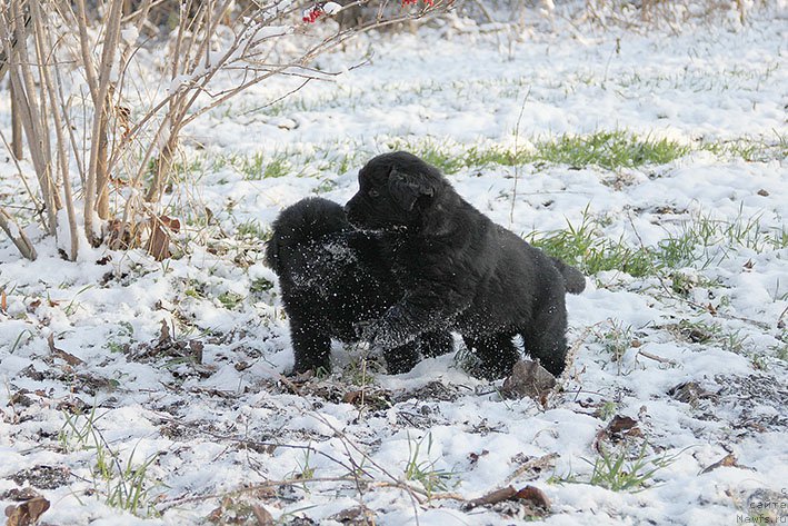 Фотография № 217694