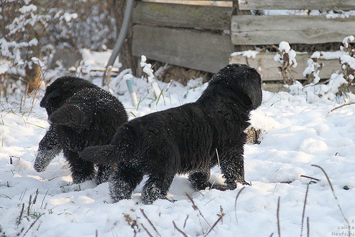 Фотография № 217695