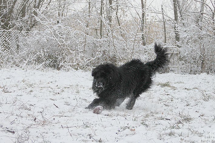 Фотография № 217711