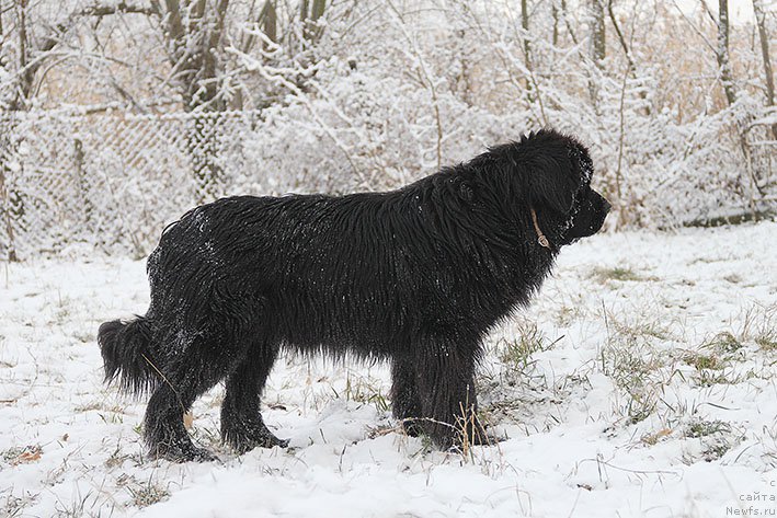 Фотография № 217712