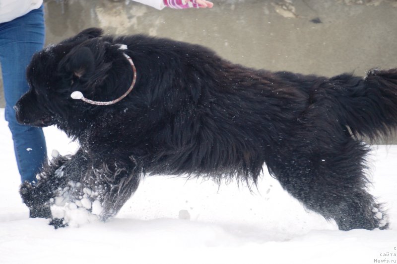 Фотография № 217715