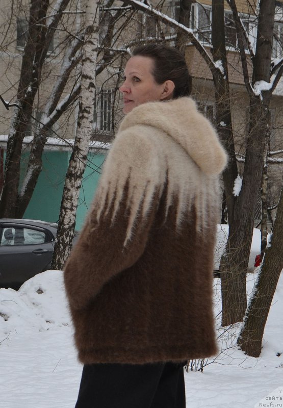 Фотография № 217729