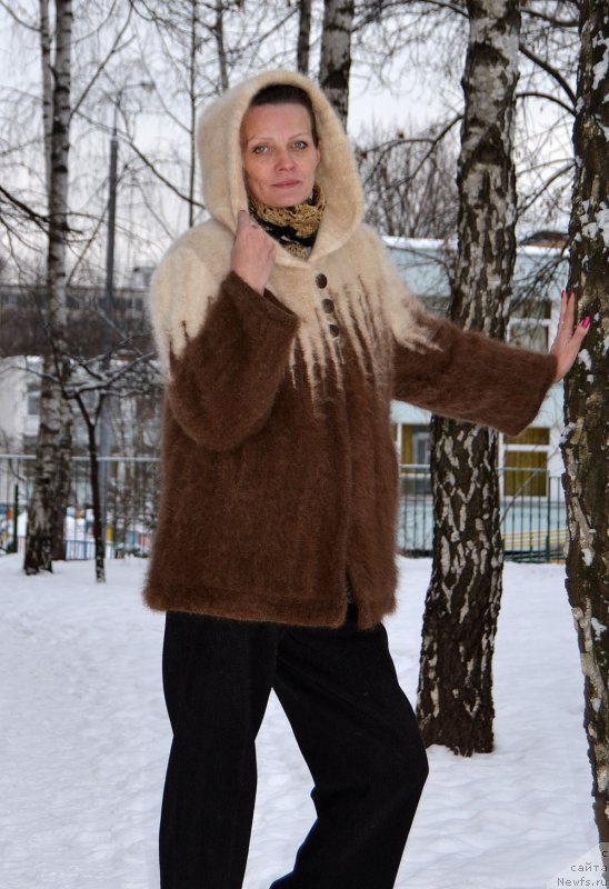 Фотография № 217731