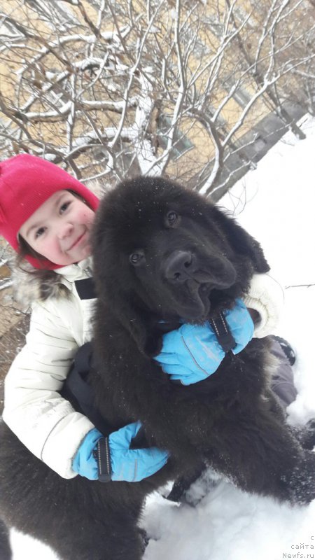 Фотография № 217745