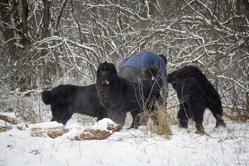 Фотография № 217751