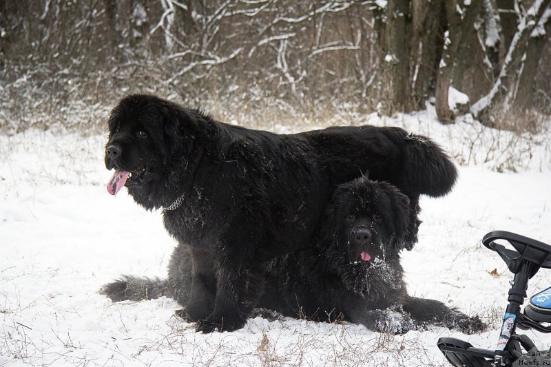 Фотография № 217760