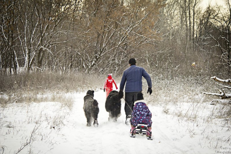 Фотография № 217771