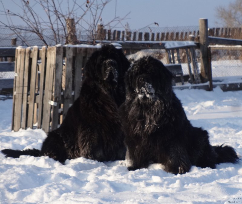 Фотография № 217806