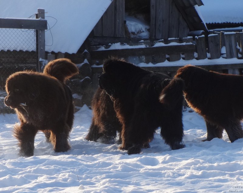 Фотография № 217808