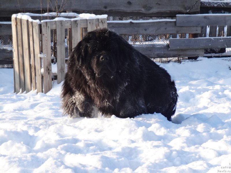 Фотография № 217810