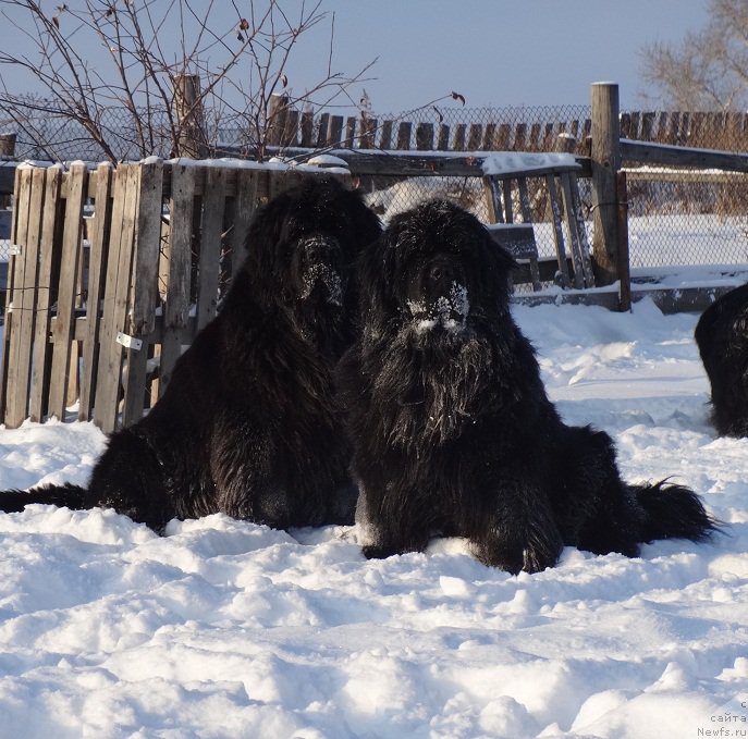 Фотография № 217813