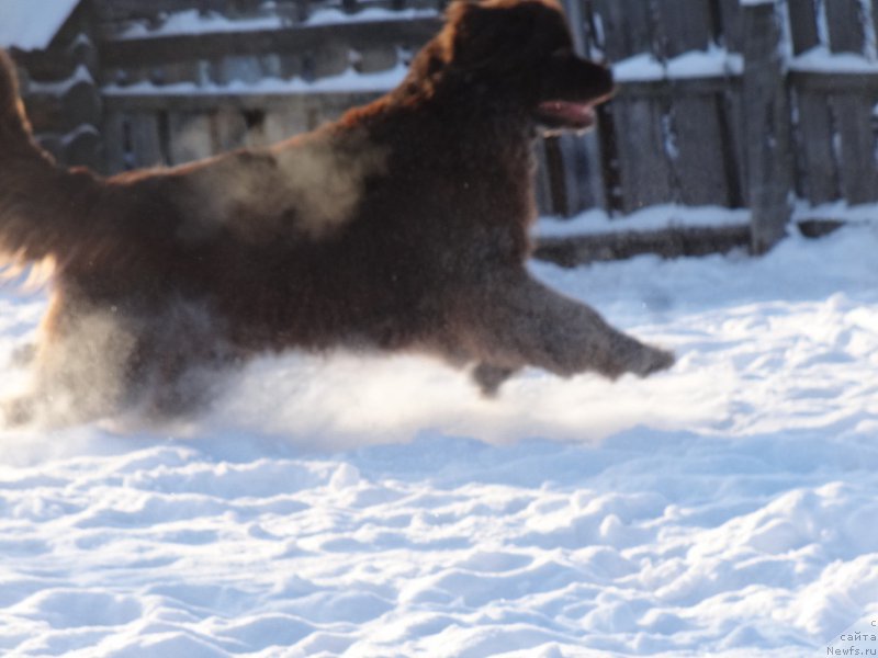 Фотография № 217815