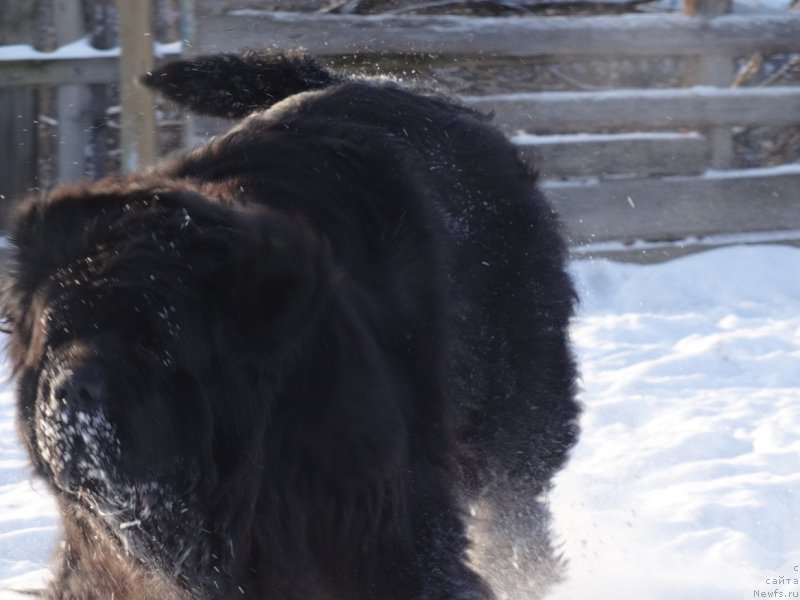 Фотография № 217816