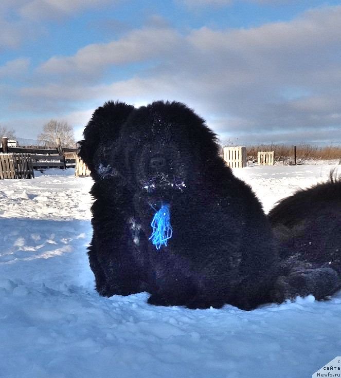 Фотография № 217936