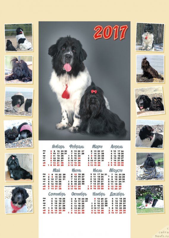 Фотография № 218002