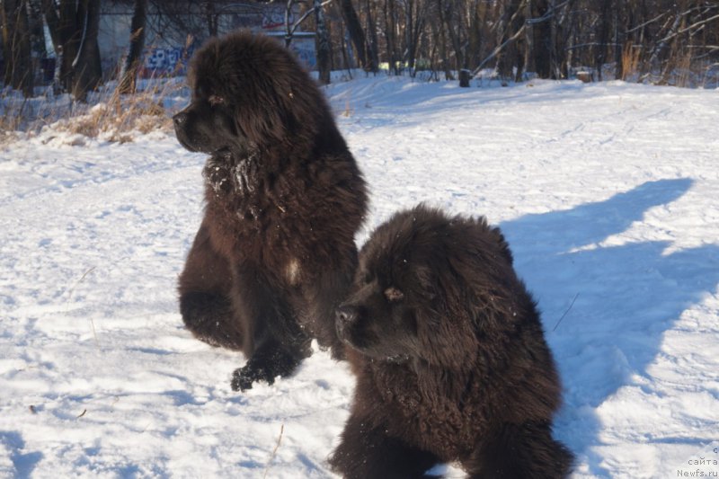 Фото: [d16229][d16228]