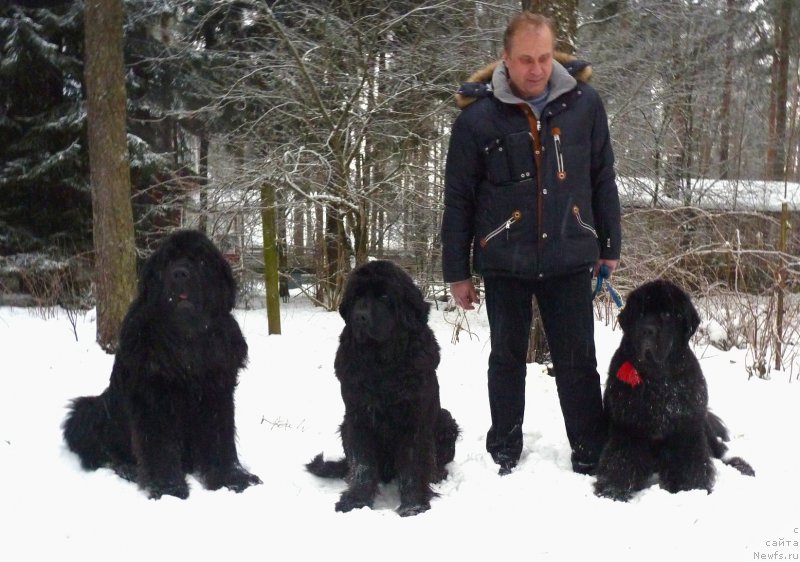 Фотография № 218106