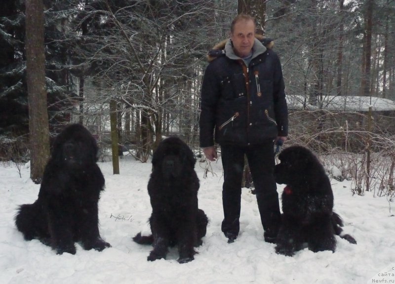 Фотография № 218107