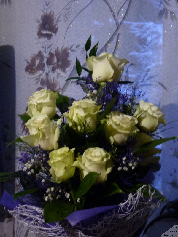 Фотография № 218108