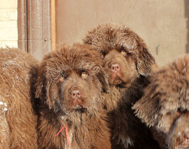 Фотография № 218173