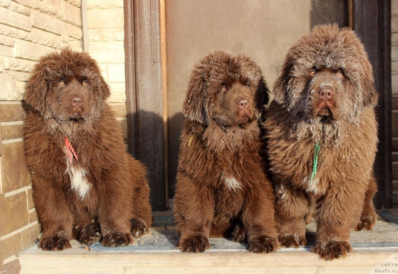 Фотография № 218177