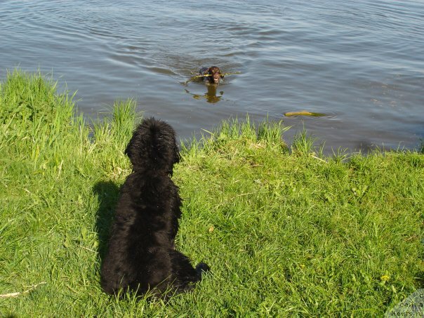 Фотография № 218211