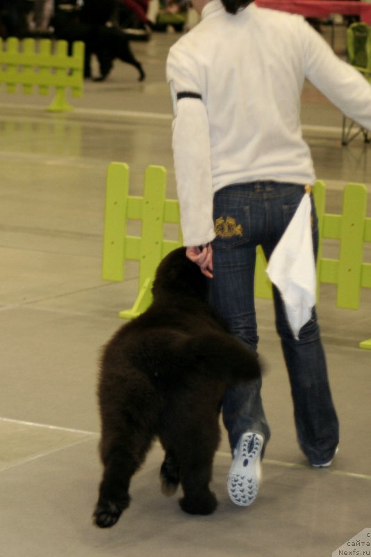 Фотография № 218257