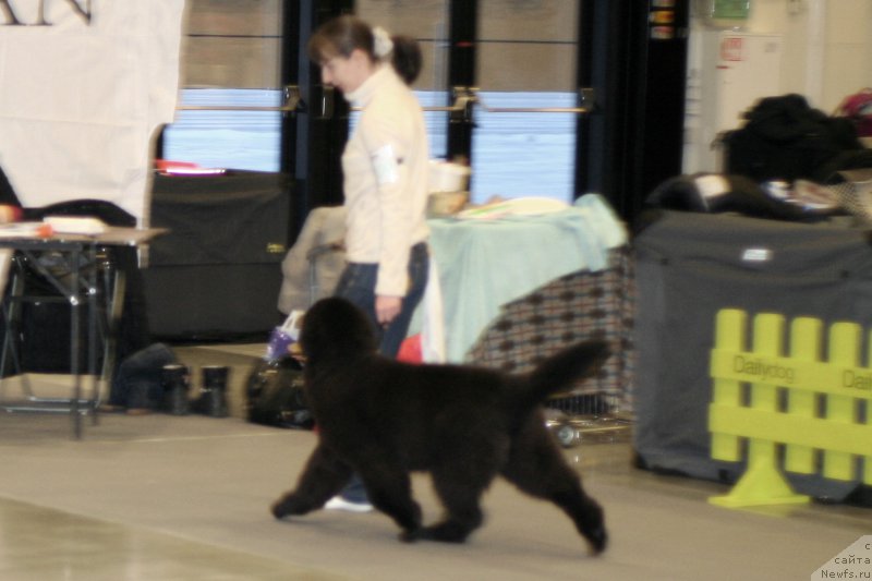 Фотография № 218258