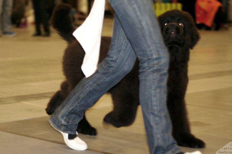 Фотография № 218260