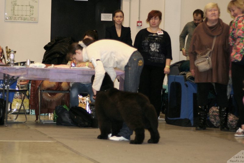 Фотография № 218261