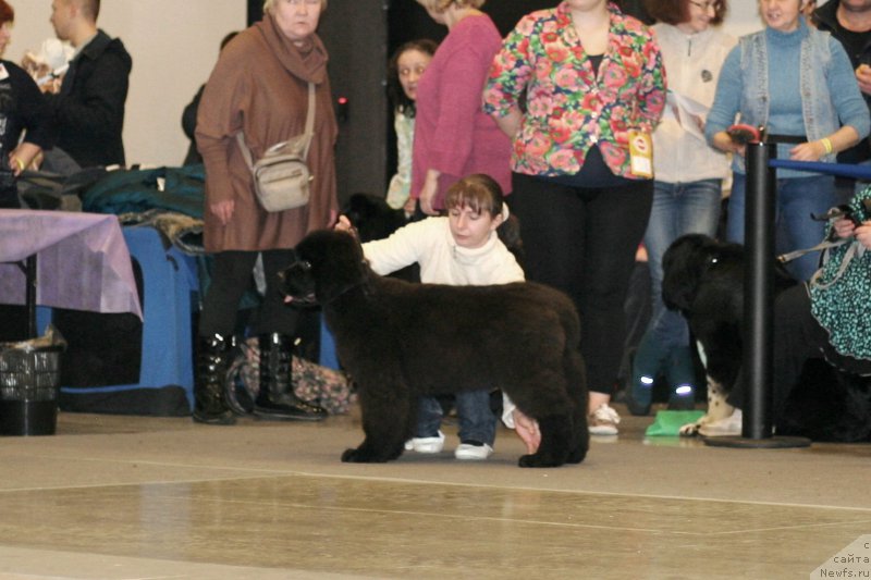 Фотография № 218262