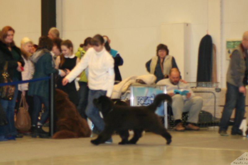 Фотография № 218265