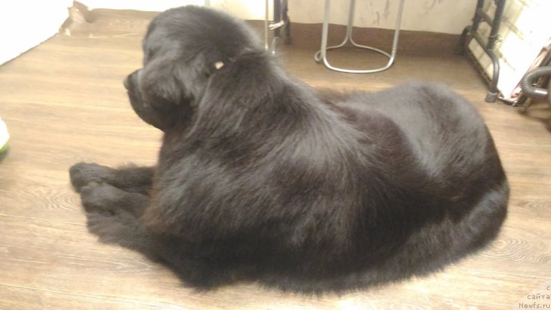 Фотография № 218267