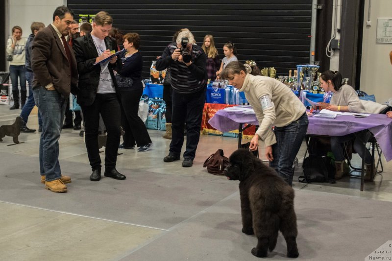 Фотография № 218312