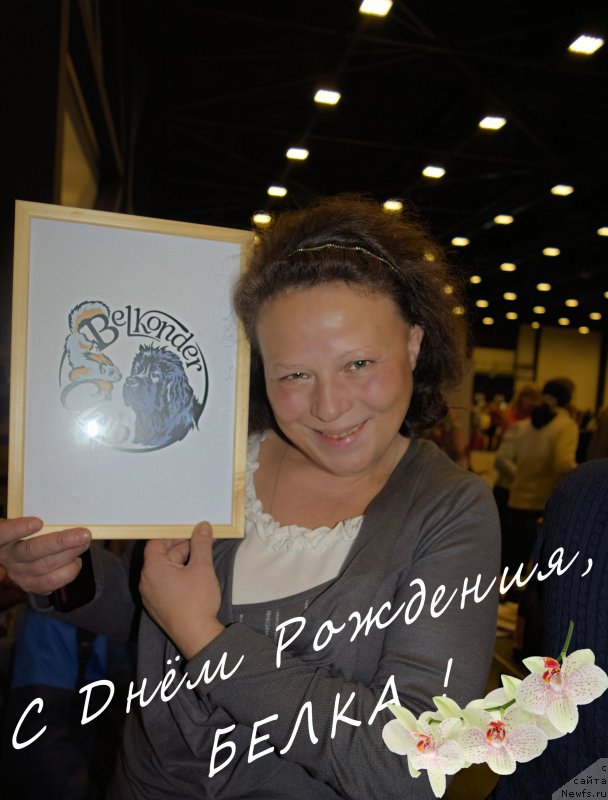 Фотография № 218321