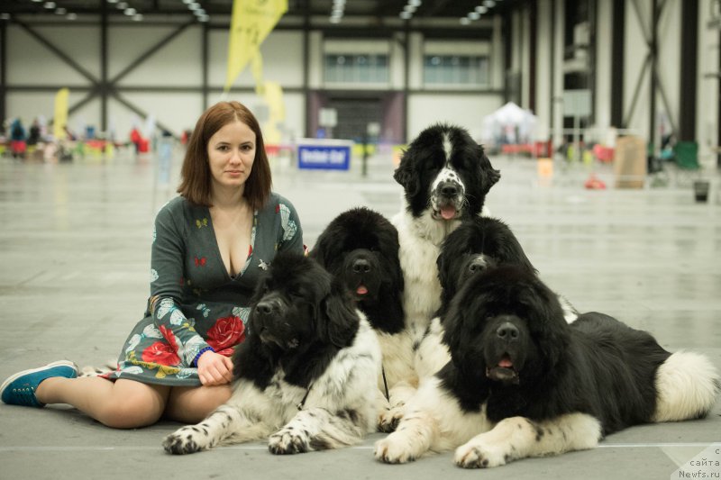 Фотография № 218322