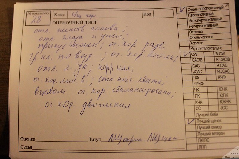 Фотография № 218332