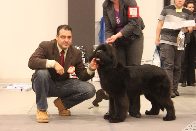 Фотография № 218335