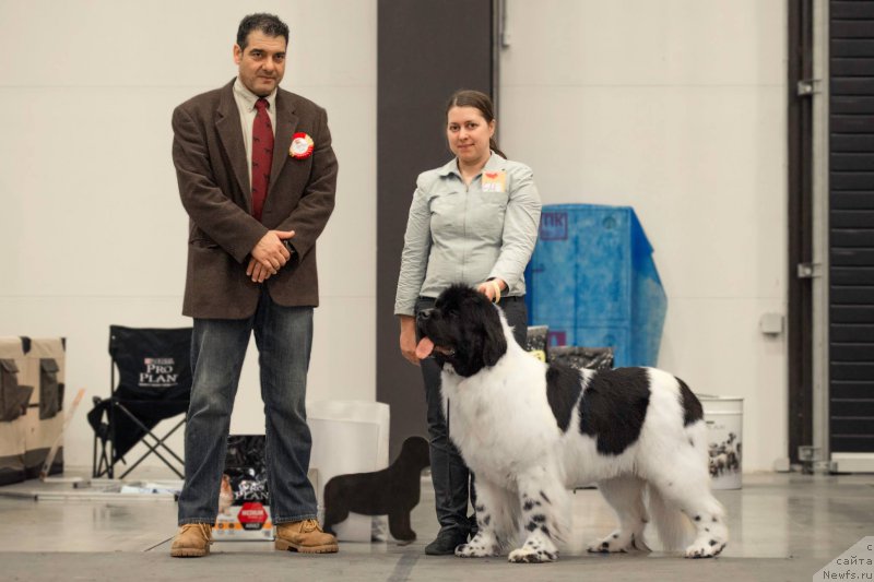 Фотография № 218347