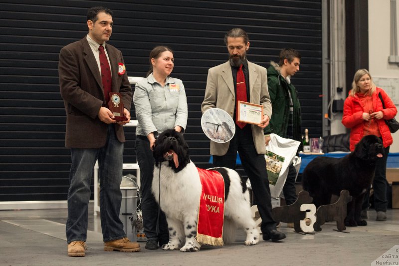 Фотография № 218348