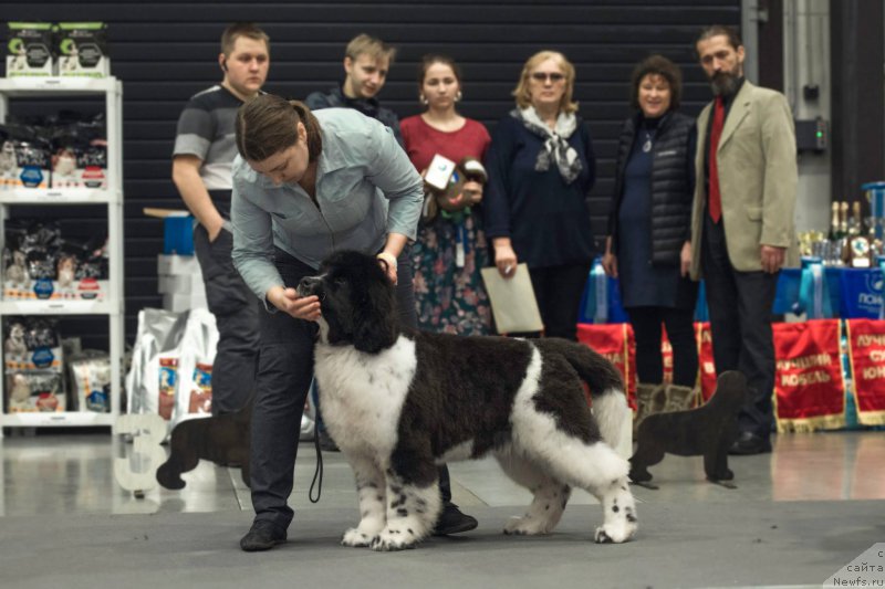 Фотография № 218354