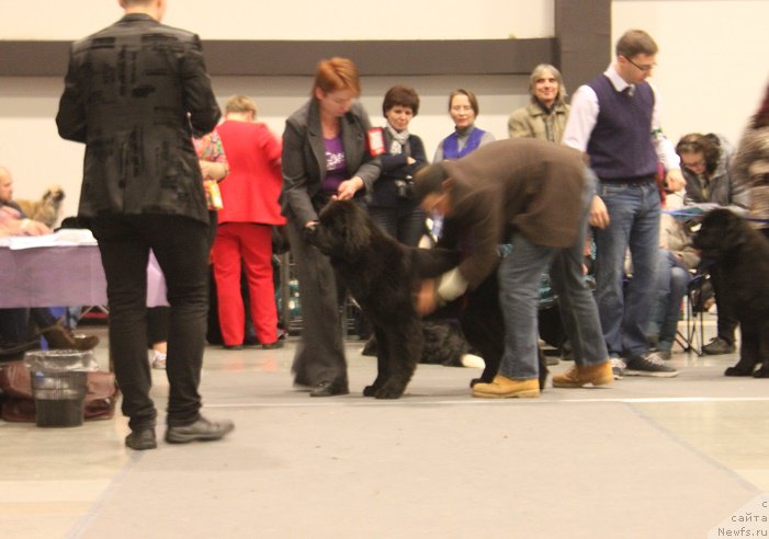 Фотография № 218355