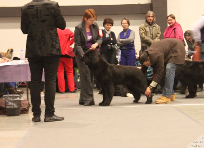 Фотография № 218358